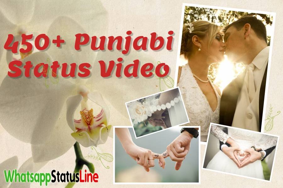 Punjabi Status Video Download