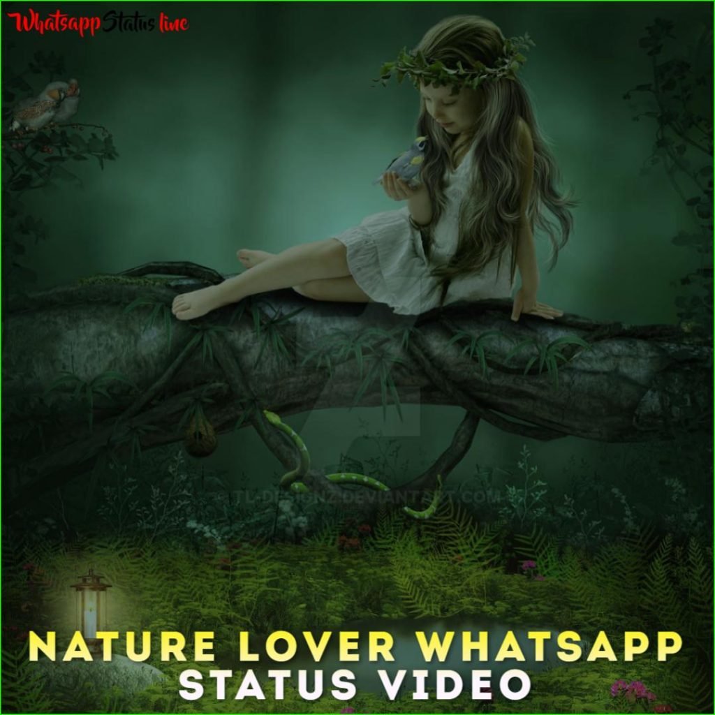 Nature Lover Whatsapp Status Video