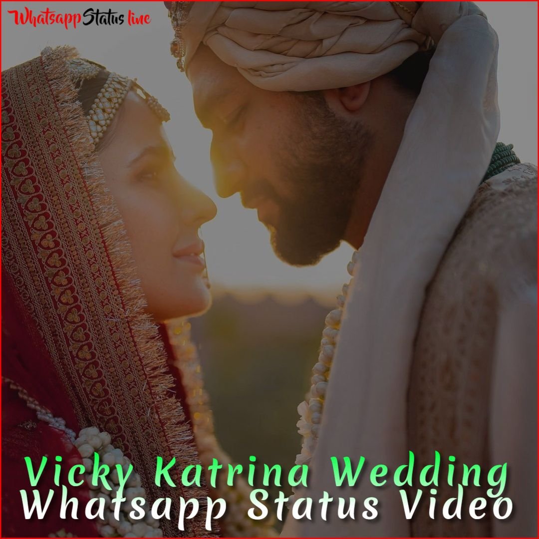 Vicky Kaushal Katrina Kaif Wedding Whatsapp Status Video