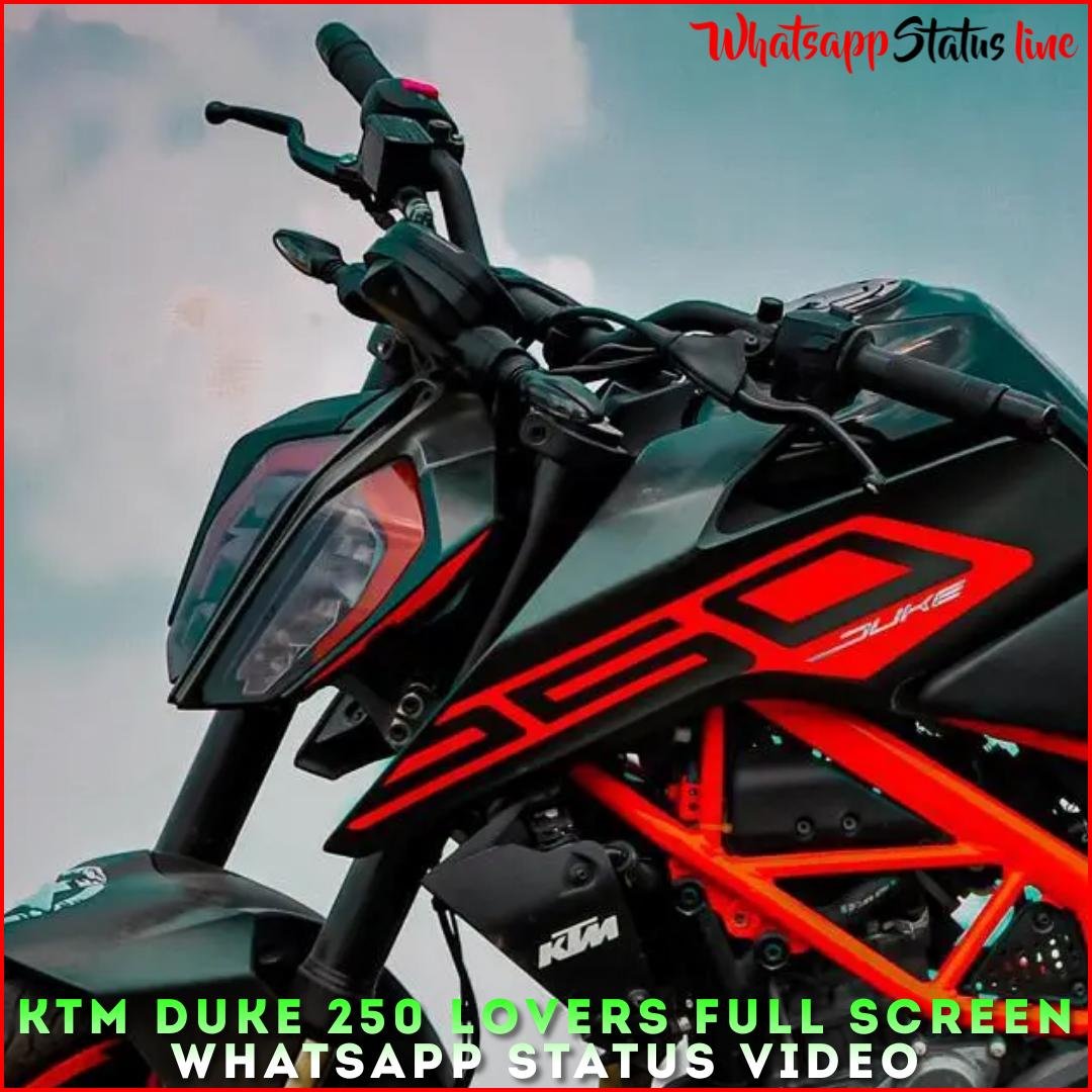 KTM Duke 250 Lovers Full Screen Whatsapp Status Video