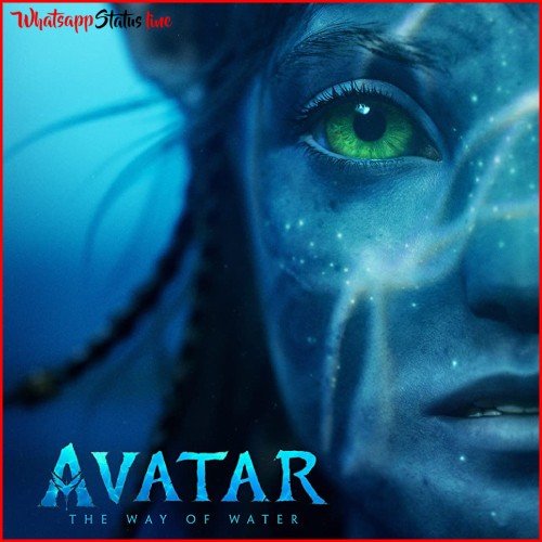 Avatar The Way of Water Movie Whatsapp Status Video